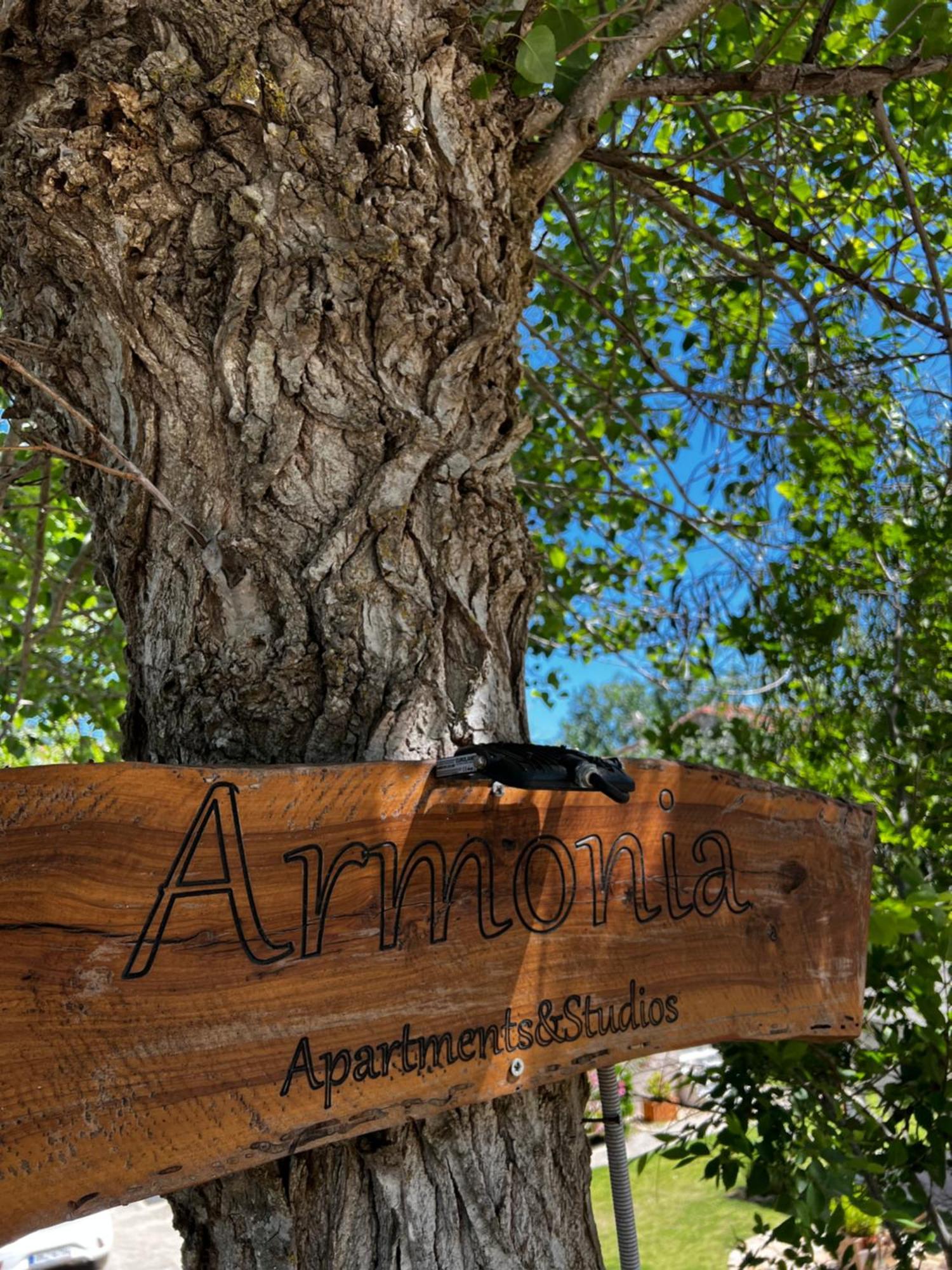 Armonia Apartments & Studios Perivólion Eksteriør bilde
